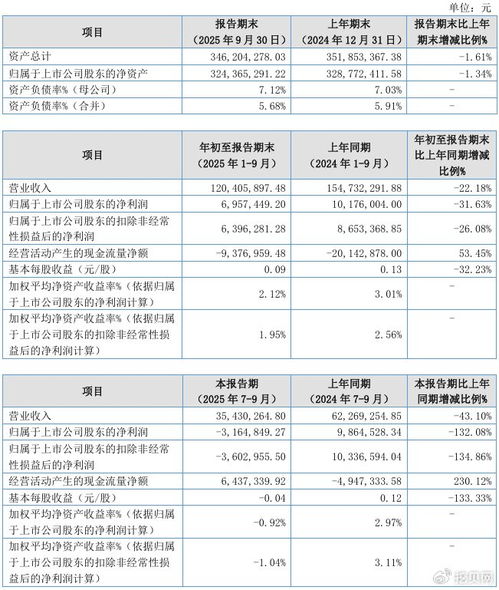 聯(lián)迪信息2025年第三季度凈虧損316.48萬元，內(nèi)銷收入下滑拖累業(yè)績