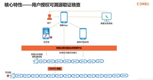 構(gòu)建可信、可知、可追溯的用戶通信授權(quán)服務(wù) 技術(shù)深度解讀
